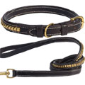 leather dog collar with gold pyramid studs