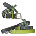 Sneak leather dog collar and matching leash