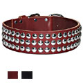 leather dog collar - 2 inches wide for big dogs