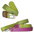 Trac leather dog collar and matching leash 