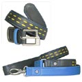Trac leather dog collar and matching leash 