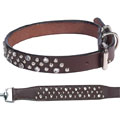 genuine leather dog collar + leash