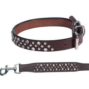 genuine leather dog collar + leash