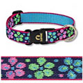 big dog collars: Lupine 1