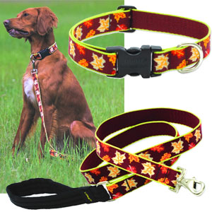 lupine martingale