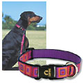 big dog collars: Lupine 1