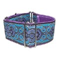 martingale greyhound collar 