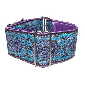 martingale greyhound collar 