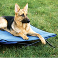 portable outdoor dog bed