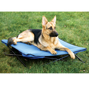 portable outdoor dog bed