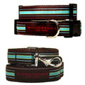 striped collar & leash with nickel buckle