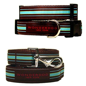 striped collar & leash with nickel buckle
