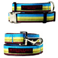 seaside classic stripe collar & leash with nickel buckle