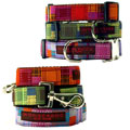 patchwork collar & leash with nickel buckle