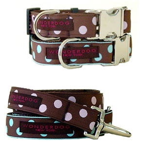 polka dog collar & leash with nickel buckle