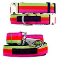 sherbet stripe collar & leash with nickel buckle