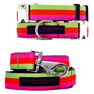 sherbet stripe collar & leash with nickel buckle