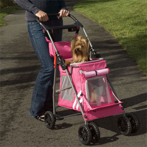 Cruising Companion Sporty Classic Stroller in pink