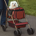 Cruising Companion Uptown Stroller shown in Garnet
