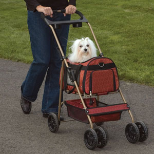 Cruising Companion Uptown Stroller shown in Garnet
