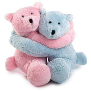 hugging teddy bears plush dog toy