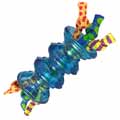 Orka Gripper dog toy