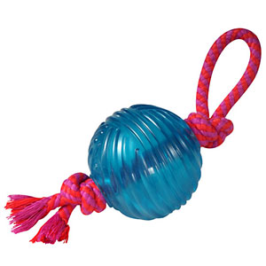 ORKA ball on rope dog toy
