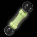dog glow toy