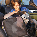 pet car seat