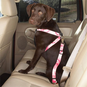 dog safety harness for car travel