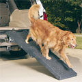 dog ramp