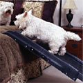 dog ramp