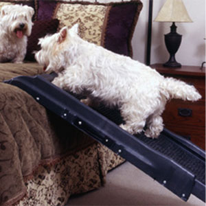 dog ramp