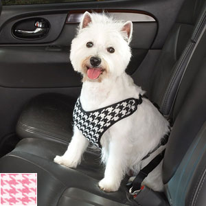 dog safety harness for car travel