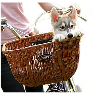 pet bicycle basket