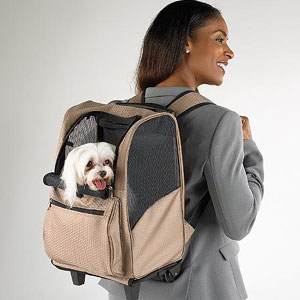 dog carrier on wheels