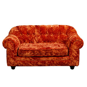 dog sofa 