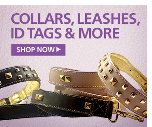 New Collars Leashes Id Tags—Shop Now