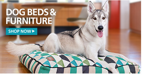 New Dog Beds and Furniture—Shop Now