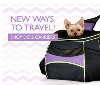 New Ways to Travel! - Shop Dog Carriers