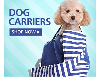 New Dog Carriers—Shop Now