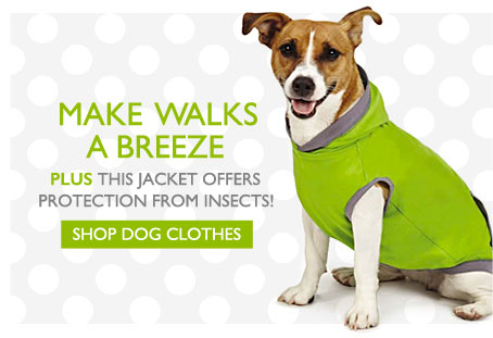 Make Walks a Breeze - Plus this jacket offers protections from insects! - Shop Dog Clothes