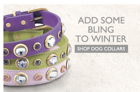 Add Some Bling to Winter - Shop Dog Collars