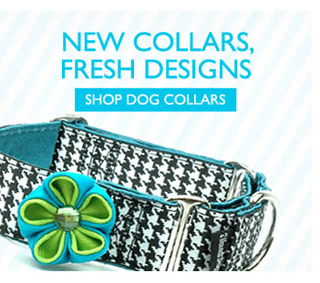 New Collars, Fresh Designs - Shop Dog Collars