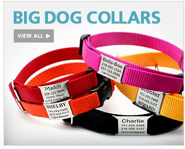 large dog collars and leads