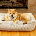 bolster, lounge & snuggle