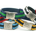 Personalized Dog Collars