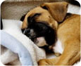 blankets & throws