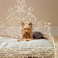 iron & wood dog beds