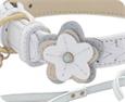 fancy dog collars